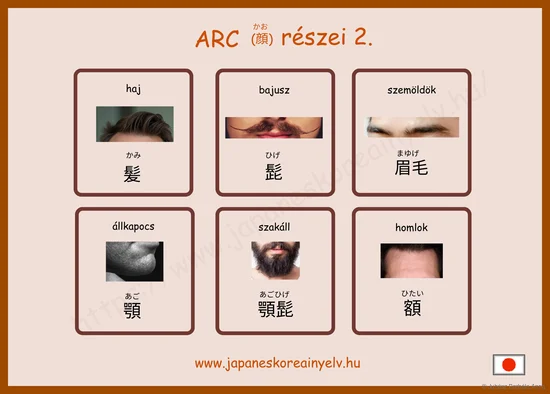ARC részei 2
