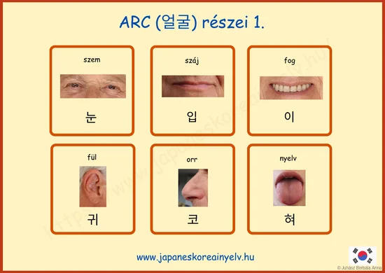 ARC részei 1